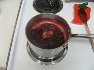 Berry Shrub Cooking