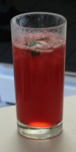 Falls Station Rickey