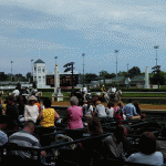 WAIT YOU'RE KIDDING ME NO FUCKING WAY WTF